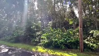 Hawaii Real Estate - 🌿 8TH ST, VOLCANO, HI 96785 | MLS 722917 🌿