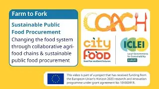 Sustainable food systems through public food procurement and collaborative agri-food chains