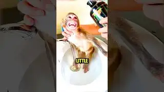 Happy monkey taking a bath 🛁🐵