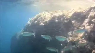 Snorkeling Corfu