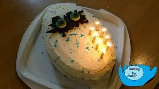 FlamingWater - Stop Motion Party with Bricks 4 Kidz