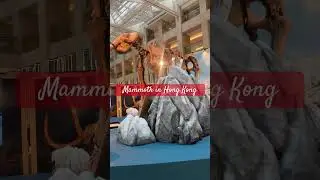 Mammoth exhibition and art in Hong Kong #life #fun #hongkong #mammoth #jurassicpark #sothebys