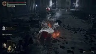 ELDEN RING&trade; Nox Swordstress and Silver Tears