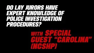 A summary of expert testimony Judge Cannone prevents the jury from hearing