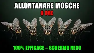 SUONO per ALLONTANARE le MOSCHE 🚫🪰 REPELLENTE ULTRASONICO 100% EFFICACE