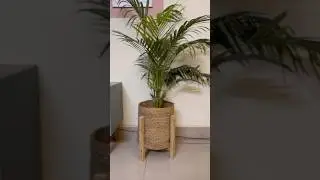Подставка для растений своими руками до 100 рупий #diyprojects #diydecor #diyplanters #diycraft #...