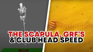 The scapula, GrF's and club head speed | Bull3D Golf Academy