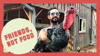 Animals Are Friends, Not Food