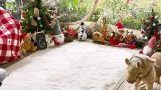 How to decorate the bubble tent?
