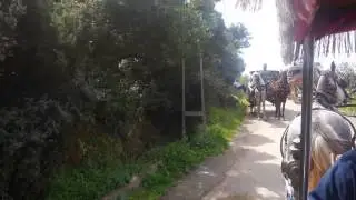 Horse Carriage Ride on  Burgazada Island near Istanbul
