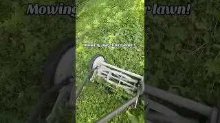 Mowing our clover lawn just in time for Saint Patrick&rsquo;s Day! 🍀 #clover #cloverlawn #garden #lawn