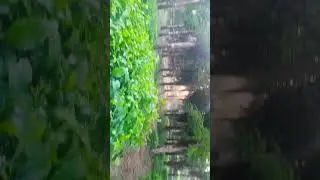 gulmohar Park