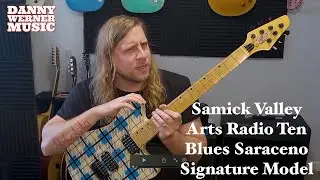 Samick Valley Arts Radio Ten Blues Saraceno Model - Blue Plaid