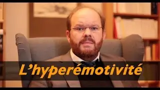 G&eacute;rer l'hyper&eacute;motivit&eacute; et l'hypersensibilit&eacute;: toutes les cl&eacute;s pour hypersensibles et hyper&eacute;motifs!