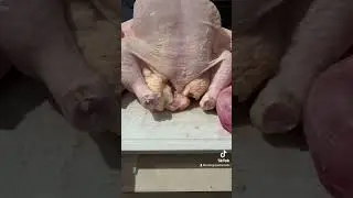 Are Whole Chickens Worth the Price Difference!?