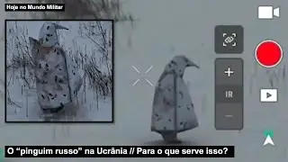 O “pinguim russo” na Ucrânia – Para o que serve isso?