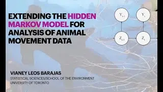 Extending the hidden Markov model for analysis of animal movement data
