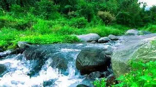 Spiritual Pure Stream &ndash; For Deep Sleep, Emotional Balance & Yoga