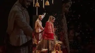 Cultural Weddings at DoubleTree Agra. #shorts #wedding #love