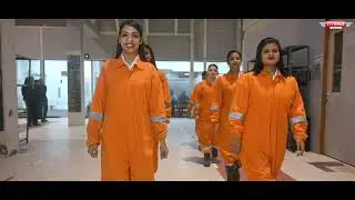 Flywings Stimulators Corporate Brand Film