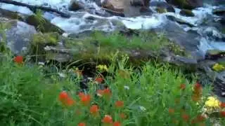 Plaikni Falls, Oregon