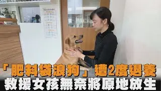 「肥料袋浪狗」遭2度退養　救援女孩無奈將原地放生