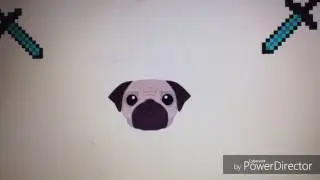 Dog intro