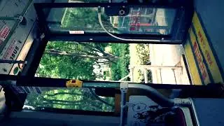 THE BUS DRIVER JUST 