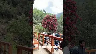 #tigernestbhutan #abidebhutanadventure www.bhutantourtravel.com