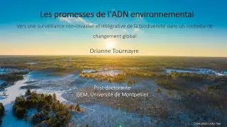 Orianne Tournayre - 20251216