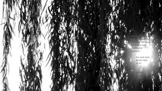 Psalms 90 - Bodhi Tree