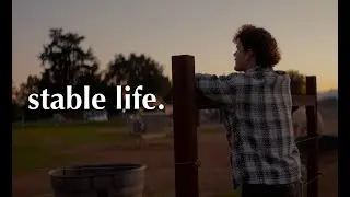 stable life.