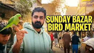 Sunday Bazar Birds Market | 3rd vlog  #petsvlogging #villagelife #petshub #cats #budgies
