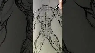 Male Anatomy Tutorial