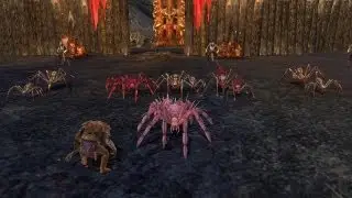 LotRO: Multiboxing - 6 Weavers!