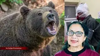 Bear Attacks On Human- Wild Animals Terror in Rural Uttarakhand | Leopard & Bear Fear In Uttarakhand
