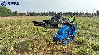 RS06 Skid Steer + Brush Cutter: Crushing Overgrowth Like a Pro | Full Field Test#rippa #skidsteer