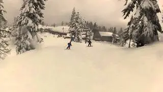 Mt Baker chair 2 (going green)