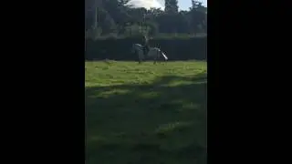 IMG 0796