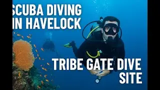 Tribe Gate Dive Site, Havelock | Best Scuba Diving Experience in Andaman Islands