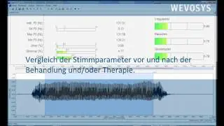 Stimmqualit&auml;tsmessung mit lingWAVES Vospector