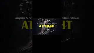 Anyma & Solomun &ndash; At Night by Shakedown (ZAYNTOLOGY Remix) | #melodictechno #deephouse #techno #edm