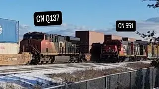 (Train Meet!) (DPU 2864) CN Q137 - 3903 And CN 551 - 4732 & 4116 At Tansley In Burlington Ontario
