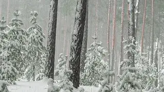 Relaxációs zene 8. Nyugtató zene.