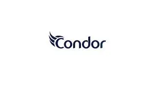 condor animation concept