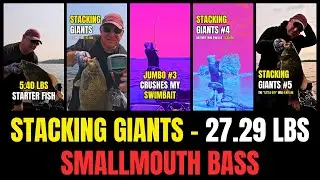 27.29 lbs of Smallmouth Bass &ndash; Stacking Giants (Full Cast-to-Catch Bag)