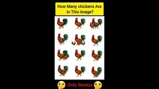 🐔 Chicken Count Challenge! Can You Spot Them All? 👀