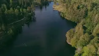 DJI Mavic Mini 1 || Cinematic Footage || Tarn Hows || The Lake District ||