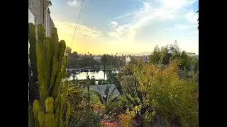 Echo Park: A tour of a gorgeous dystopia