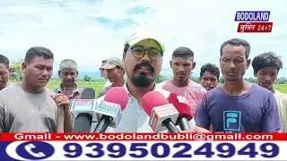 आसाम सोरखारनि बिथोन बादियै Amrit Brikshya Andolon जों लोब्बा लाखिनानै चिरां रिफु रिजार्व नि माखासे